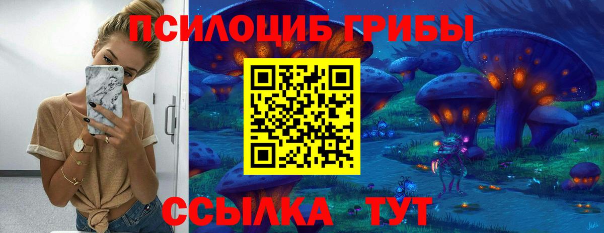 Псилоцибиновые грибы прущие грибы Шелехов